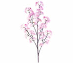 桜大枝