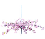 桜センター
